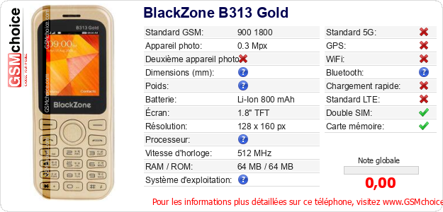 BlackZone B313 Gold Fiche technique
