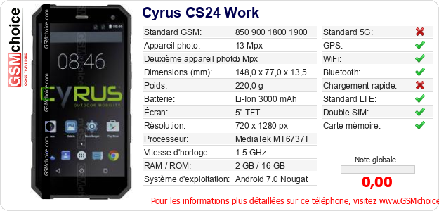 Cyrus CS24 Work Fiche technique