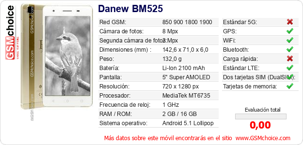 Danew BM525 Datos técnicos del móvil 