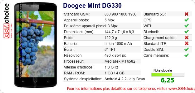 Doogee Mint DG330 Fiche technique Doogee Mint DG330 Fiche technique