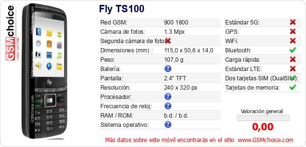Fly TS100 Datos técnicos del móvil 