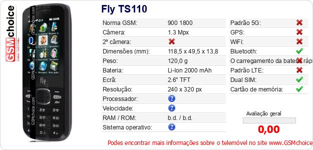Fly TS110 Especificações técnicas do telemóvel 