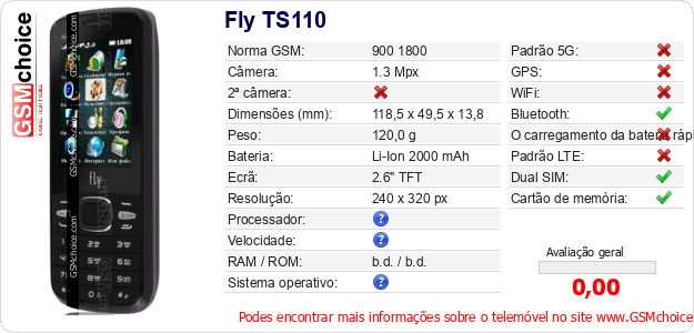 Fly TS110 Especificações técnicas do telemóvel 