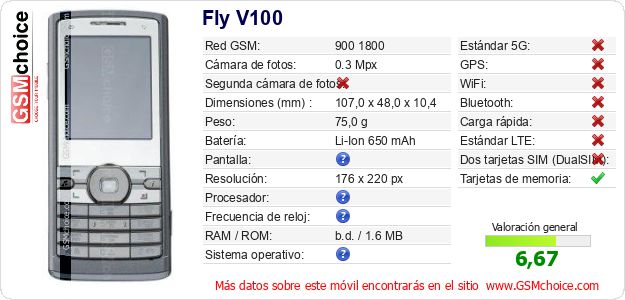 Fly V100 Datos técnicos del móvil 
