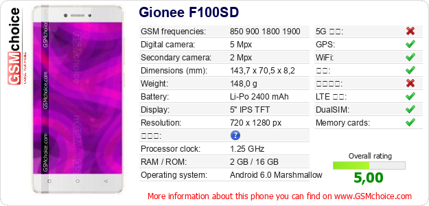 Gionee F100SD 手机技术数据