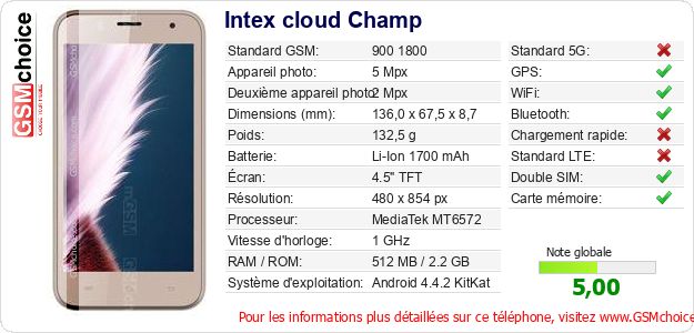 Intex cloud Champ Fiche technique Intex cloud Champ Fiche technique