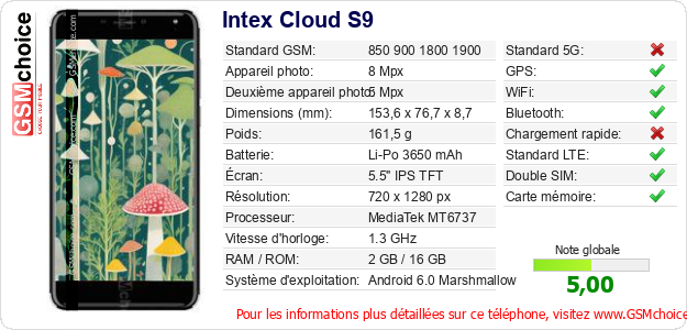 Intex Cloud S9 Fiche technique Intex Cloud S9 Fiche technique
