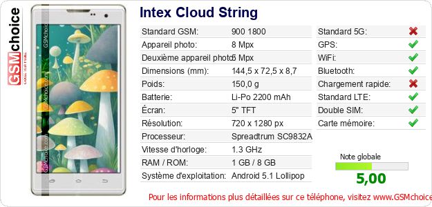Intex Cloud String Fiche technique Intex Cloud String Fiche technique