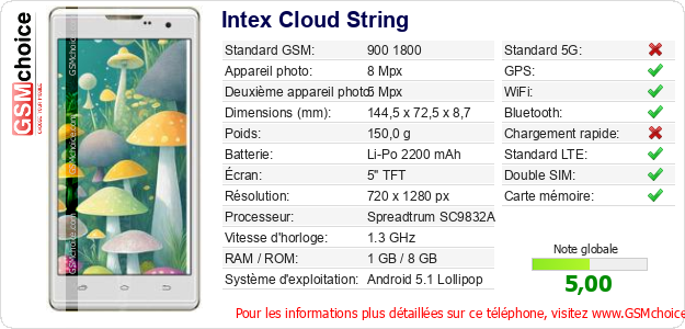 Intex Cloud String Fiche technique