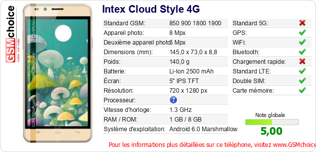 Intex Cloud Style 4G Fiche technique