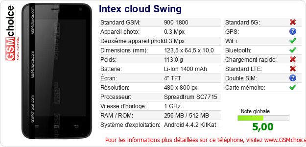 Intex cloud Swing Fiche technique Intex cloud Swing Fiche technique