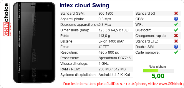 Intex cloud Swing Fiche technique