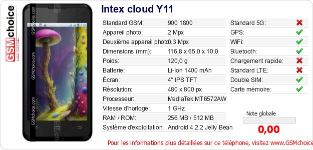 Intex cloud Y11 Fiche technique Intex cloud Y11 Fiche technique