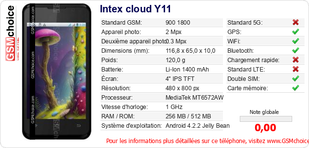 Intex cloud Y11 Fiche technique Intex cloud Y11 Fiche technique