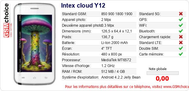 Intex cloud Y12 Fiche technique