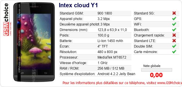 Intex cloud Y1 Fiche technique