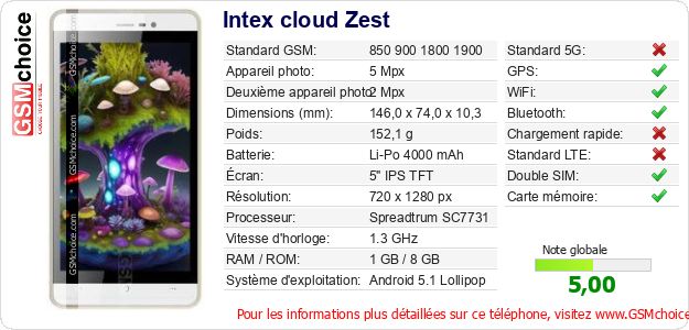Intex cloud Zest Fiche technique