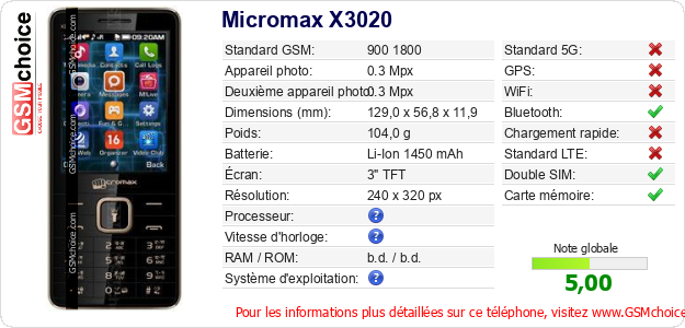 Micromax X3020 Fiche technique