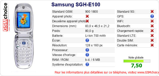 Samsung SGH-E100 Fiche technique