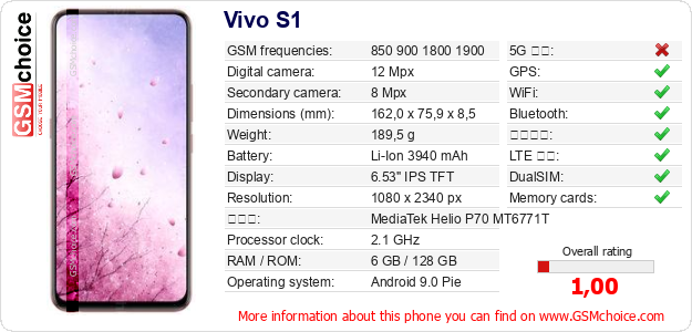 Vivo S1 手機技術數據