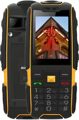 Galleria Foto Aligator R6