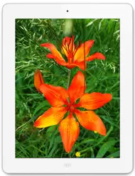 Galeria de fotos do telemóvel Apple iPad 4 Wi-Fi 128 GB