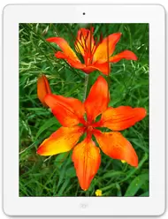 The photo gallery of Apple iPad 4 Wi-Fi 16 GB