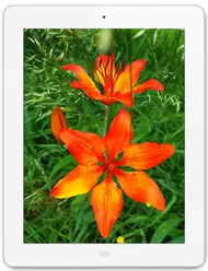 Galeria de fotos do telemóvel Apple iPad 4 Wi-Fi 32 GB