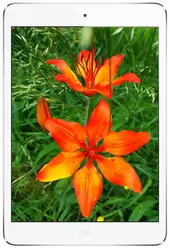 相冊 Apple iPad mini 16 GB