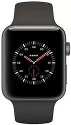相冊 Apple Watch Series 3 Edition 42 mm