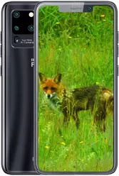 fotogalerij Black Fox B2 Fox