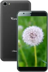 Galería de imágenes de Condor Plume L1