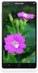 Галерея фотографий Coolpad 8736