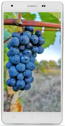 The photo gallery of Doogee S6000