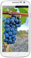 Galeria de fotos do telemóvel Doogee Voyager DG300