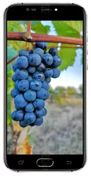 Galleria Foto Doogee X9 Mini
