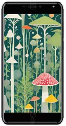 The photo gallery of Intex Cloud S9