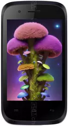 Galleria Foto Intex cloud X5
